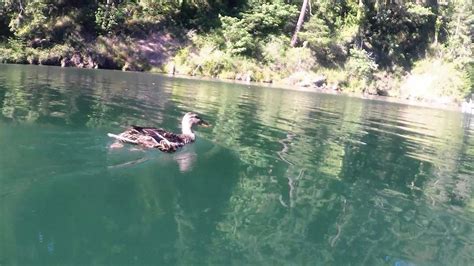 estacada lake boat ramp|Summer of Fun – Boating, Fishing and Swimming in。